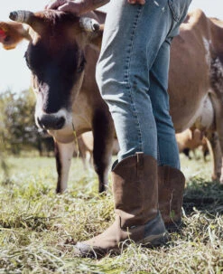 Keen Men's Evanston Pull-On Waterproof Boot (Soft Toe) | Bison/Black 16 Keen Men's Evanston Pull-On Waterproof Boot (Soft Toe) | Bison/Black -Keen S25 Evanston Pull On 1030489 PDP LEFT 1