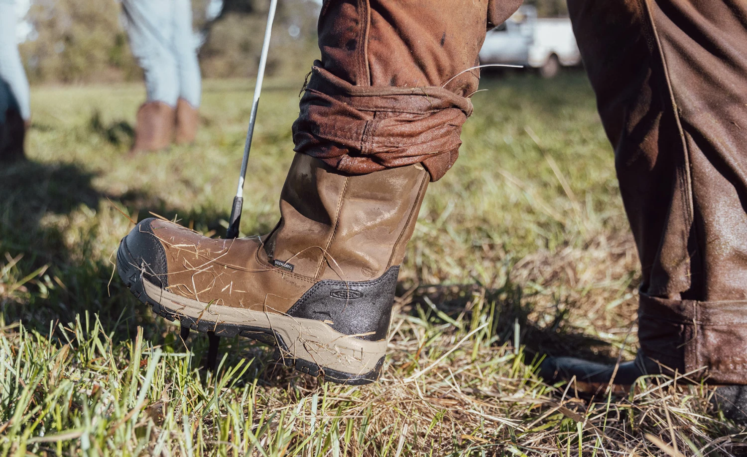 Keen Men's Evanston Pull-On Waterproof Boot (Soft Toe) | Bison/Black 7 Keen Men's Evanston Pull-On Waterproof Boot (Soft Toe) | Bison/Black - Image 7