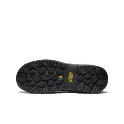 Keen Men's Evanston 6" Waterproof Boot INT MET (Carbon Toe) | Bison/Black -Keen b8b31fd681043ac1fbef241e0622f6691b98d8c8